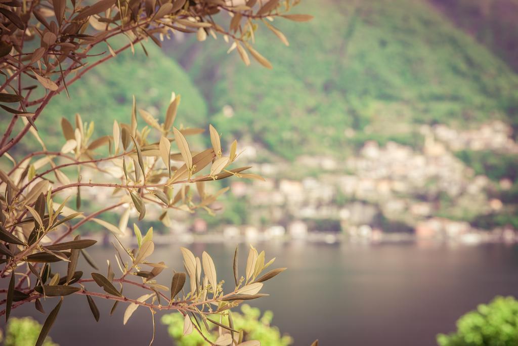 Hotel Bersagliere Laglio Kültér fotó